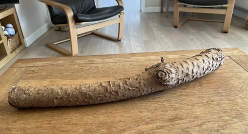 60cm log branch - branch, with