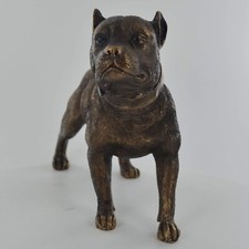 Pit Bull Terrier Dog Bronze