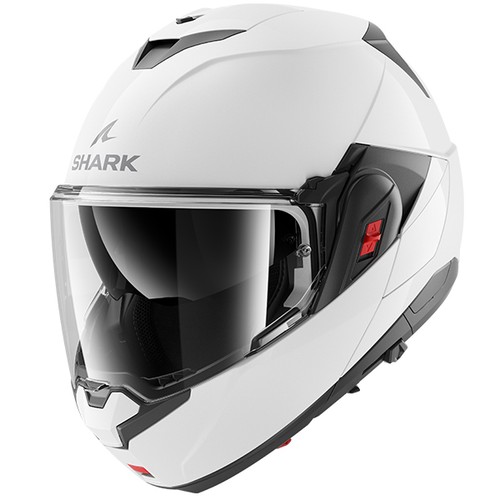 Shark oxo blank pearly white - shark,