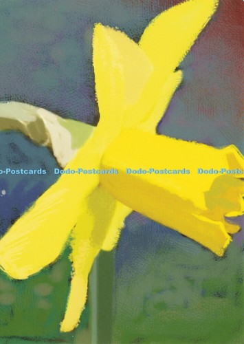 D168407 this image from the - image, is