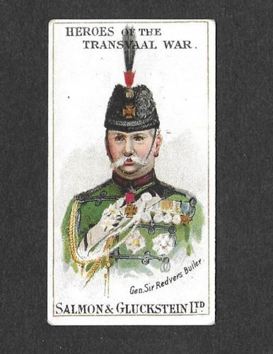 Salmon gluckstein heroes - salmon, &
