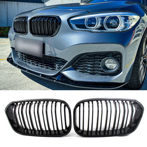 Front kidney gloss - front,