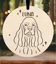 American Cocker Spaniel