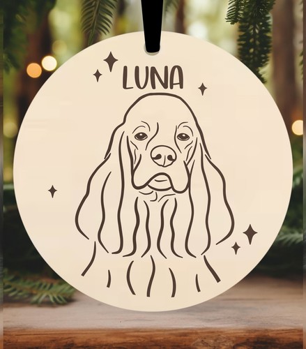 American cocker spaniel - american,