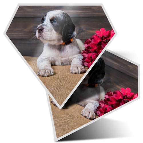 Diamond shape vinyl - 2x,