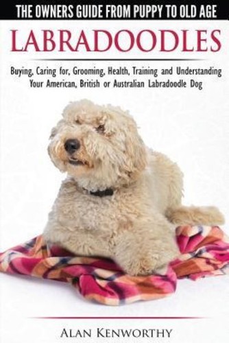 Kenworthy alan labradoodles - kenworthy,, :