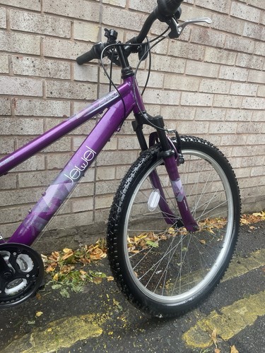 Apollo mountain bike - mountain,