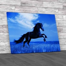 Powerful Stallion Horse