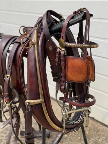 Stunning brown horse - stunning, pony