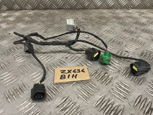 Kawasaki 636 b1h - 636,