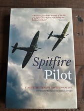 Spitfire Pilot HB Flt Lt David