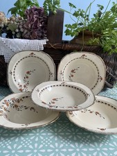 Alfred Meakin Royal Marigold - 5 small bowls 16.5cm