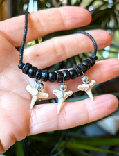 Shark Tooth Necklace With Real
