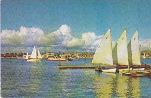 Sailboats balboa bay - sailboats-balboa, bay-balboa
