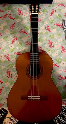 Yamaha acoustic guitar comes - yamaha,
