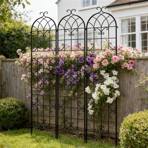 Iron garden trellis - iron,