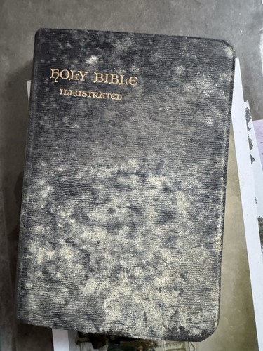 1914 holy bible illustrated - holy,