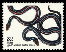 12x GARTER SNAKE Endangered