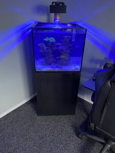 Reef sys 180 - reef, aquarium