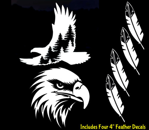 Bald eagle native - &, american