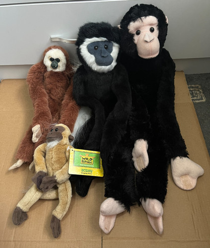 Mixed bundle wild - bundle, 4x