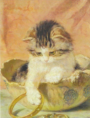 New cats kittens postcard - new,
