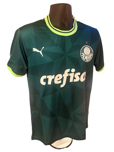 Palmeiras 2023 home shirt - palmeiras,