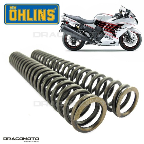 Kawasaki 14r 2020 springs - zx-14r,