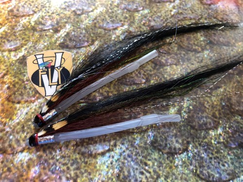 Fly aaroy signature - 2,