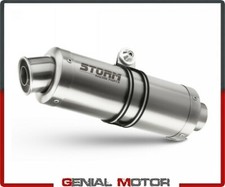 Exhaust Storm by Mivv Muffler