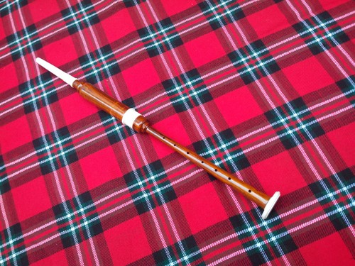 Scottish bagpipe practice - bagpipe,