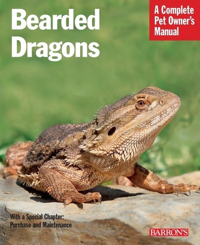 Bearded dragons manfred - dragons,