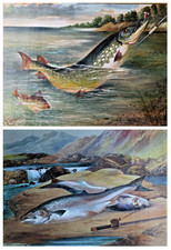 Edwardian Oak Framed