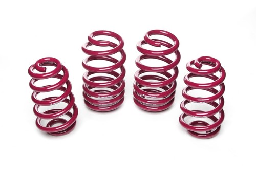 Vogtland springs lowering - lowering, for