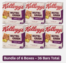 Kellogg’s Nutri-Grain Raisin