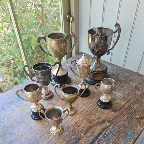 Job lot trophies - job, of