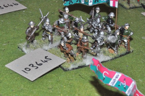 28mm medieval war - roses,