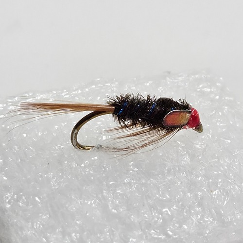 New border trout - trout, diawl