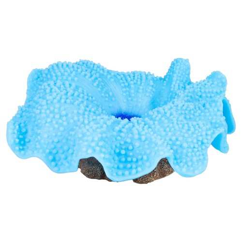 Aqua della plastic plant - aqua,