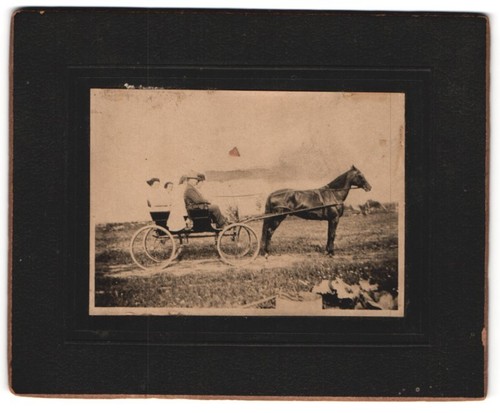 Photograph horse drawn - a, horse-drawn