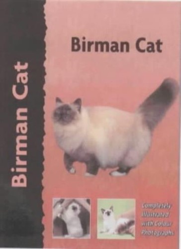 Birman cat dennis - (pet, love),dennis