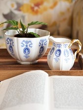 Antique Coalport Ribbon Bows