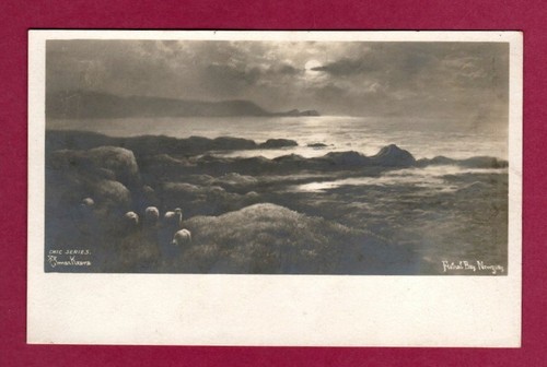 111652 postcard newquay - 111652,