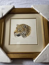 Stephen Gayford Mother Jaguar