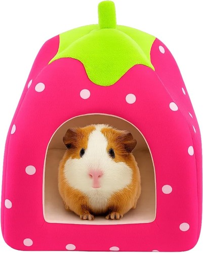 Rabbit bed guinea - bed,,