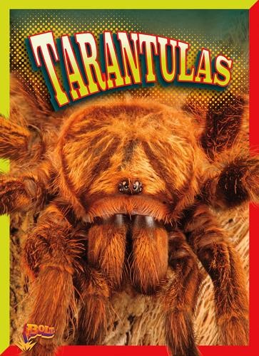 Tarantulas - , (crawly