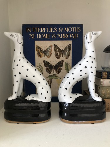 New india jane - india, pair