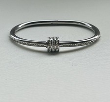 Stainless steel statement
