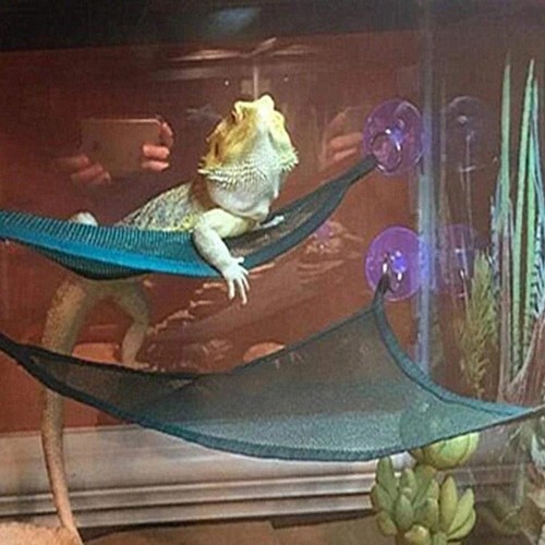2pcs bearded dragon hammock - 2pcs,