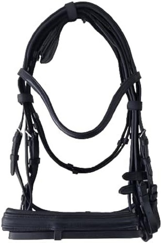 New bridle famous gr - bridle,